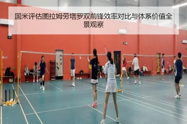 国米评估图拉姆劳塔罗双前锋效率对比与体系价值全景观察